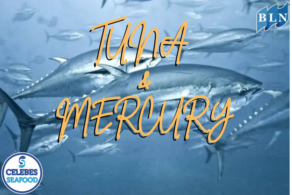 Uncovering the Mystery of Tuna Fish: Is Its Mercury Content Really Dangerous?